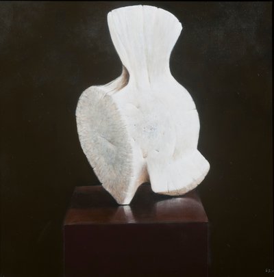 Whole Vertebra, 2012 by Lincoln Seligman
